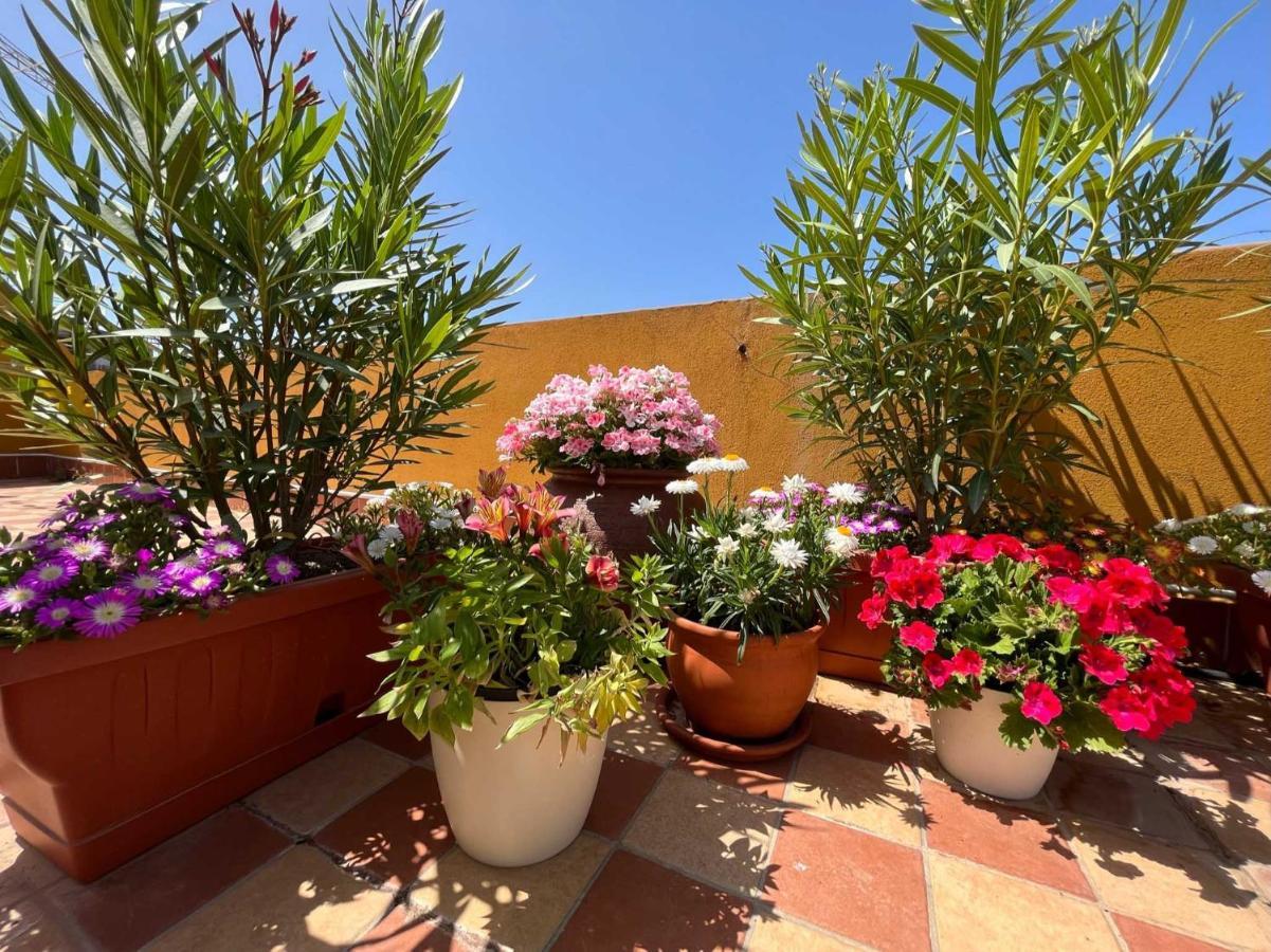 Casa Yvona Apartman Alghero Kültér fotó